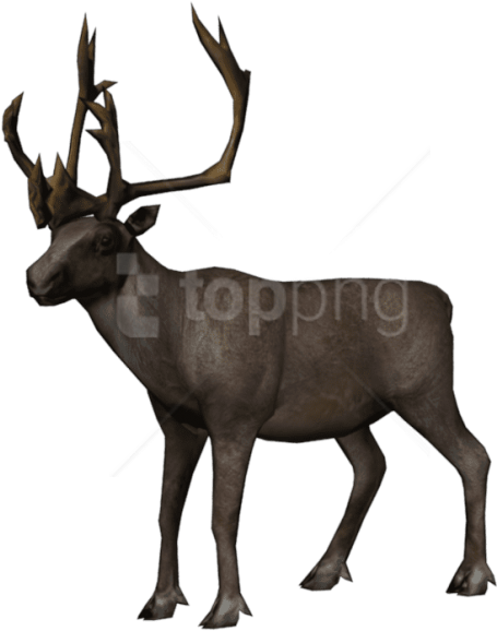 Free Png Moose Png Images Transparent - Red Dead Redemption 2 Wapiti Location (850x638), Png Download