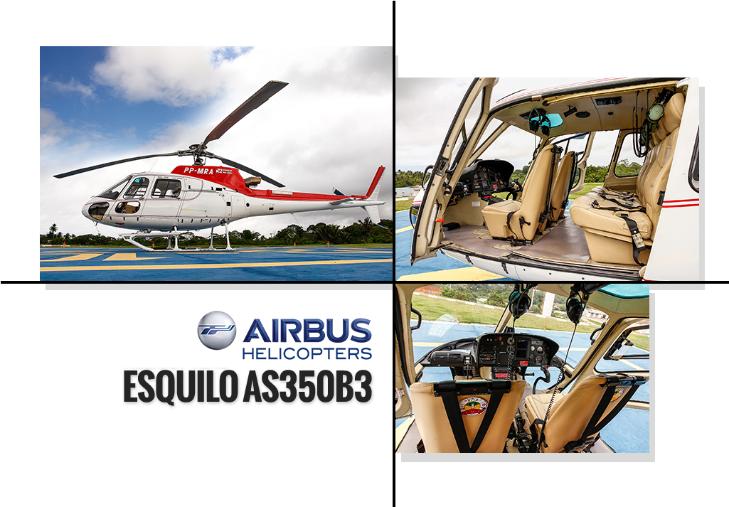 Descrição Da Aeronave - New Airbus (1024x747), Png Download