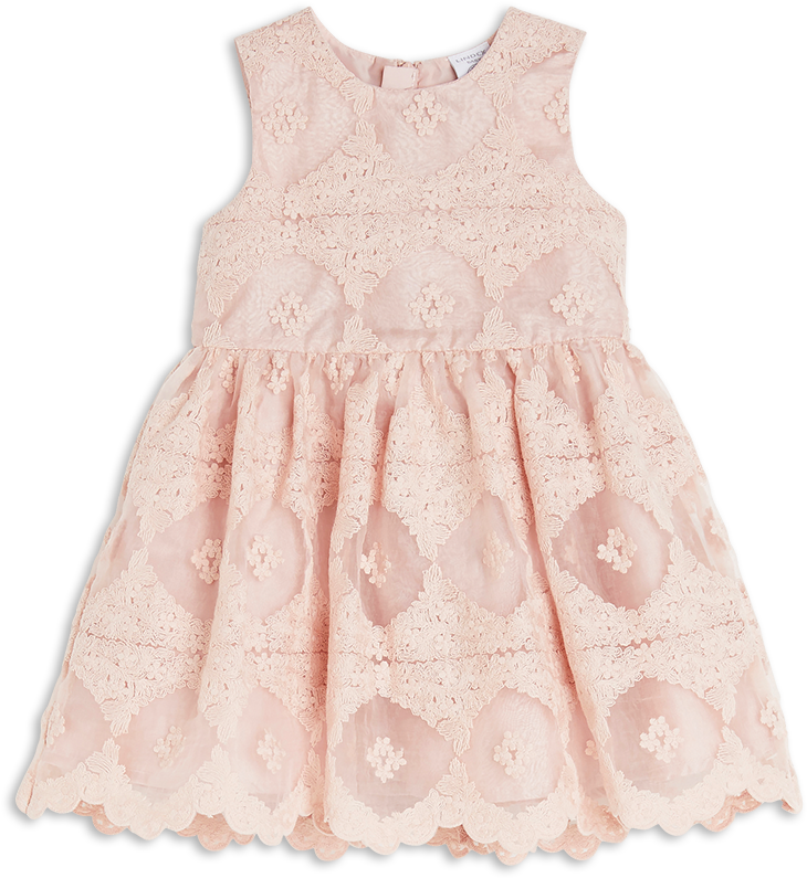 Embroidered Lace Dress Pink - Lace (888x888), Png Download