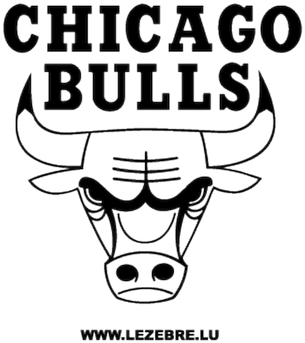 White Chicago Bulls Logo 15 Chicago Bulls Png - Logo Transparent Chicago Bulls (800x800), Png Download
