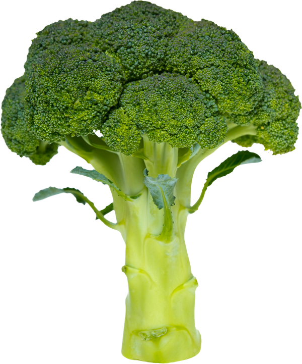 Broccoli Nutrition (600x721), Png Download