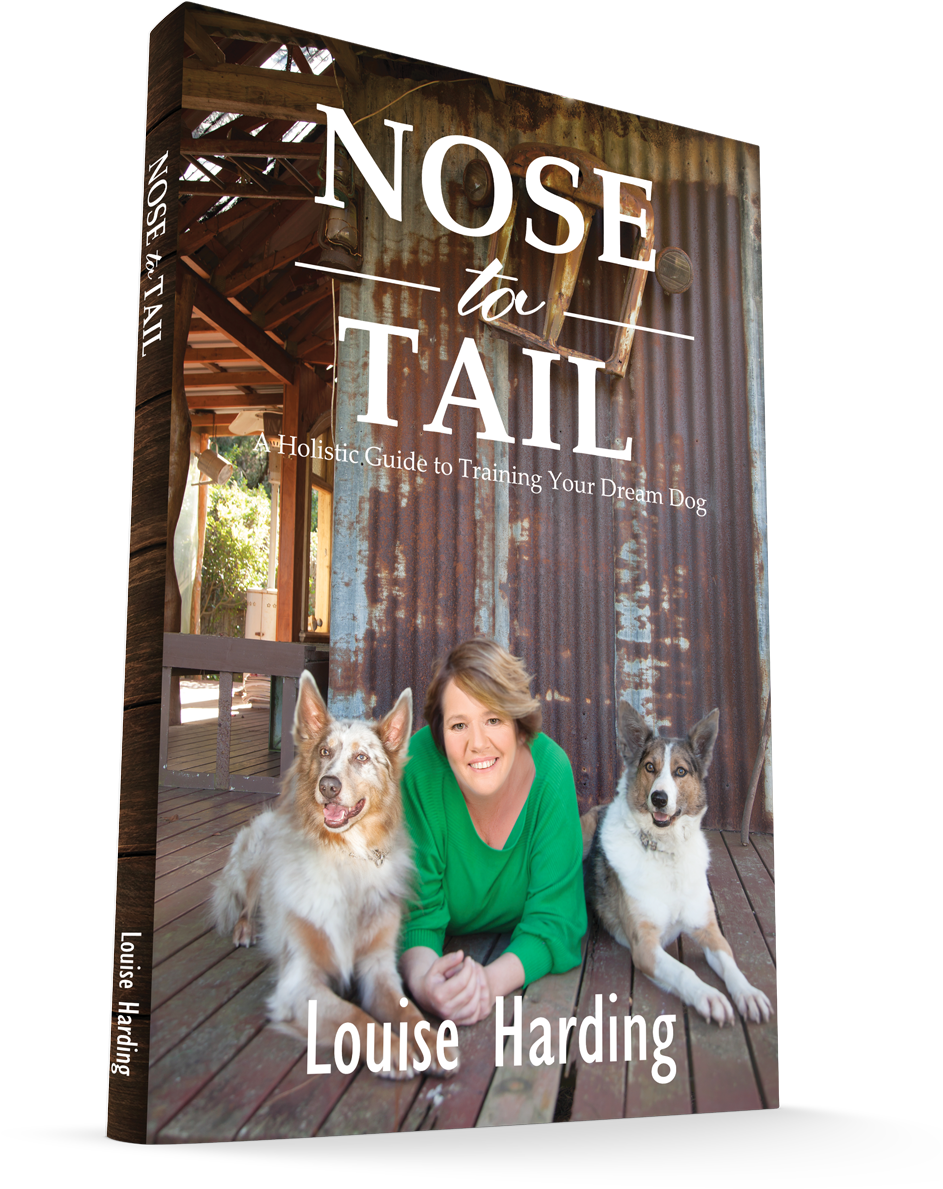 E Download High Res Photo - Nose To Tail Louise Harding Book Cover (1000x1351), Png Download