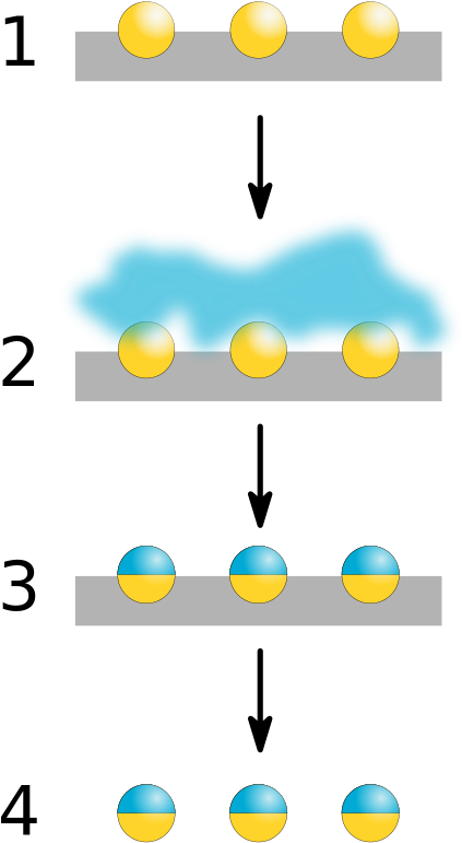 Masking - Synthesis Of Janus Particles (440x783), Png Download
