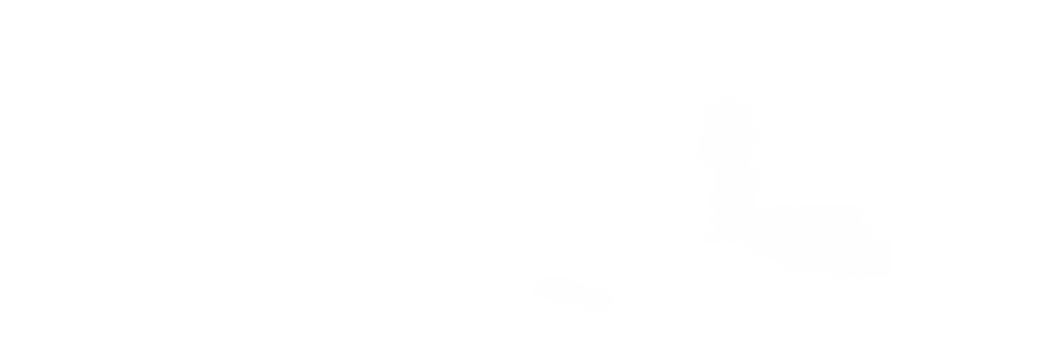 11 Apr 2011 - Twitter White Bird Logo (1500x500), Png Download