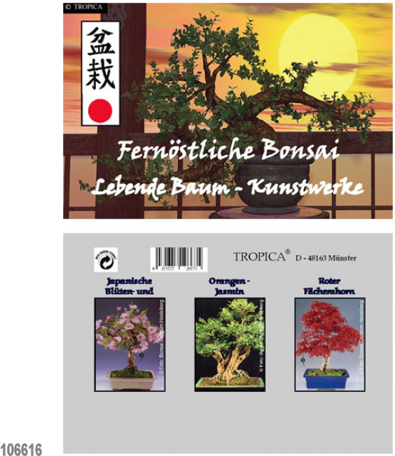 Mini Propagator Set 'far Eastern Bonsai - Bonsai (650x650), Png Download