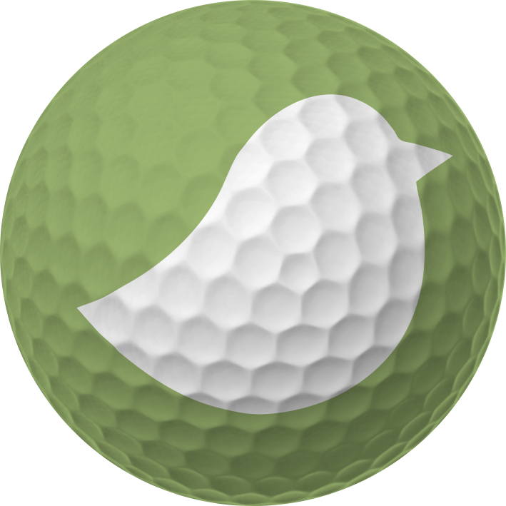 Birdiebooking Large - Speed Golf (709x709), Png Download