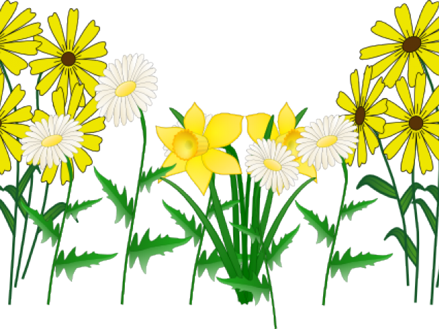 Daisy Clip Art (640x480), Png Download