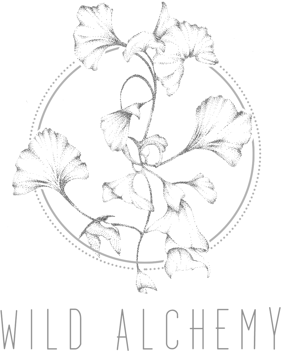 Wild Alchemy About - Mascara Da Chapeuzinho Vermelho (1500x1479), Png Download