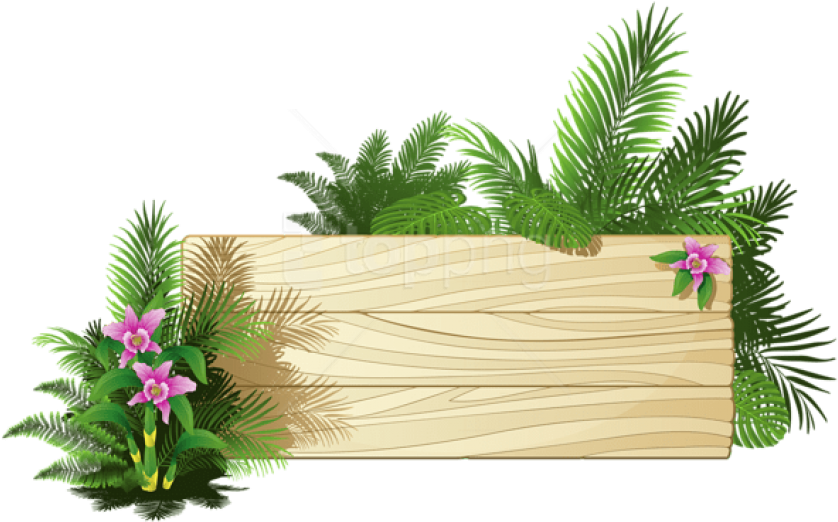 Exotic Board Png - Summer Board Clipart (850x540), Png Download