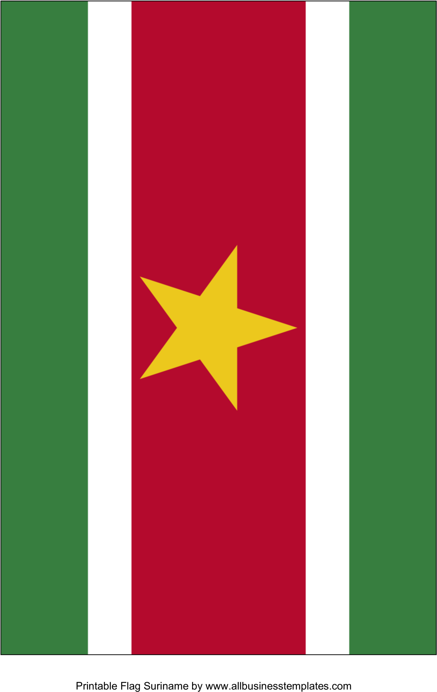 Suriname Printable Flag - Suriname Flag (1736x2455), Png Download