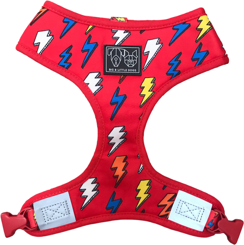 Big & Little Dogs 'the Bolt' Reversible Dog Harness - Briefs (992x1024), Png Download
