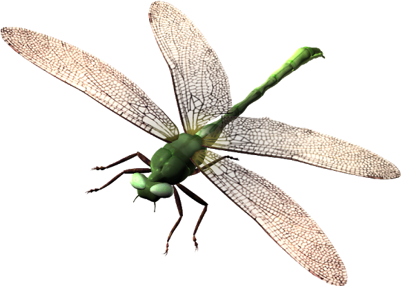 Gambar Emaze Berperanan Sebagai Utusan Sayap Format - Capung Png (620x620), Png Download