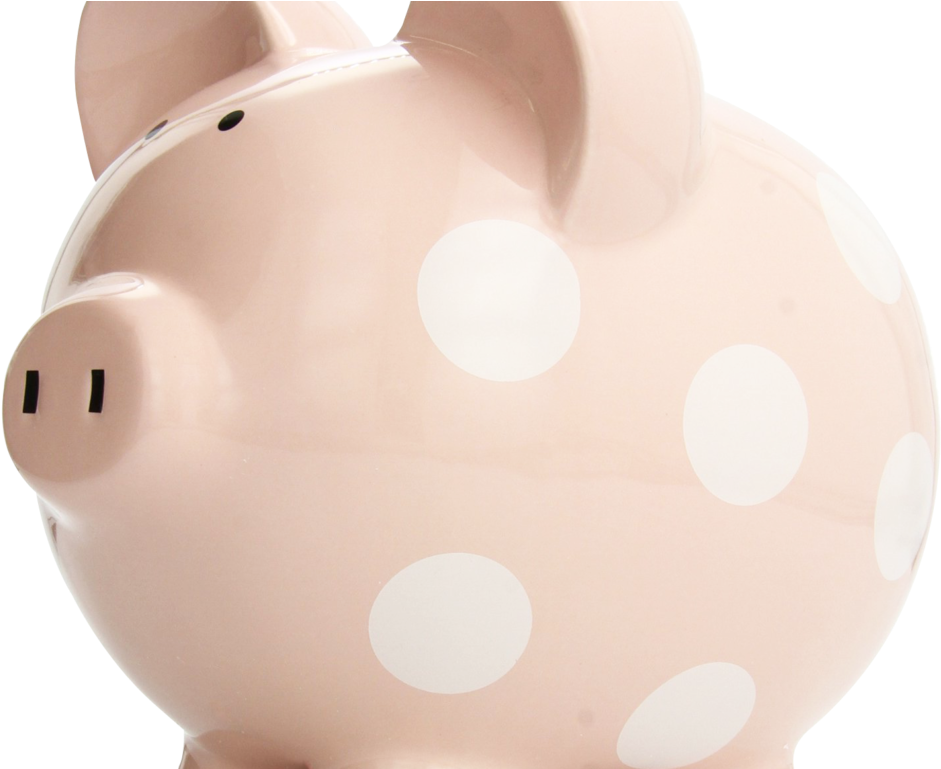 Piggy Bank Png Transparent Image - Domestic Pig (1024x768), Png Download