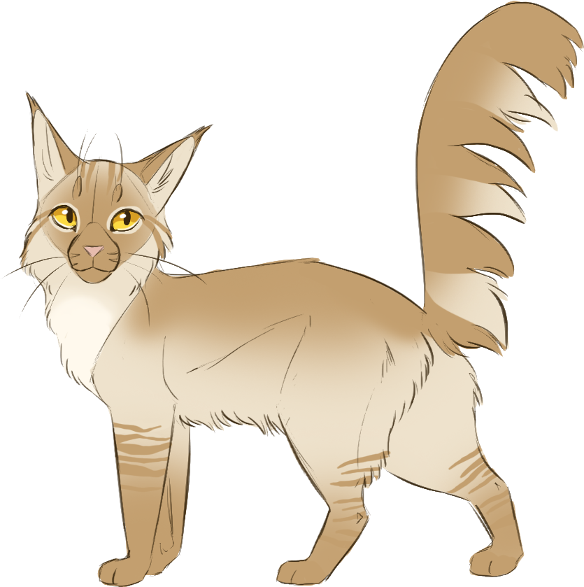 More Tumblr Requests - Squitten (868x897), Png Download