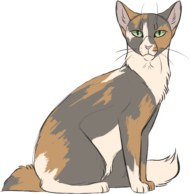 1 Jul - Cat Yawns (792x798), Png Download