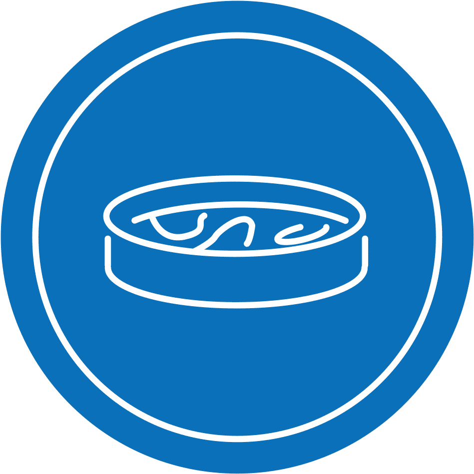 Biological Testing - Circle (954x961), Png Download