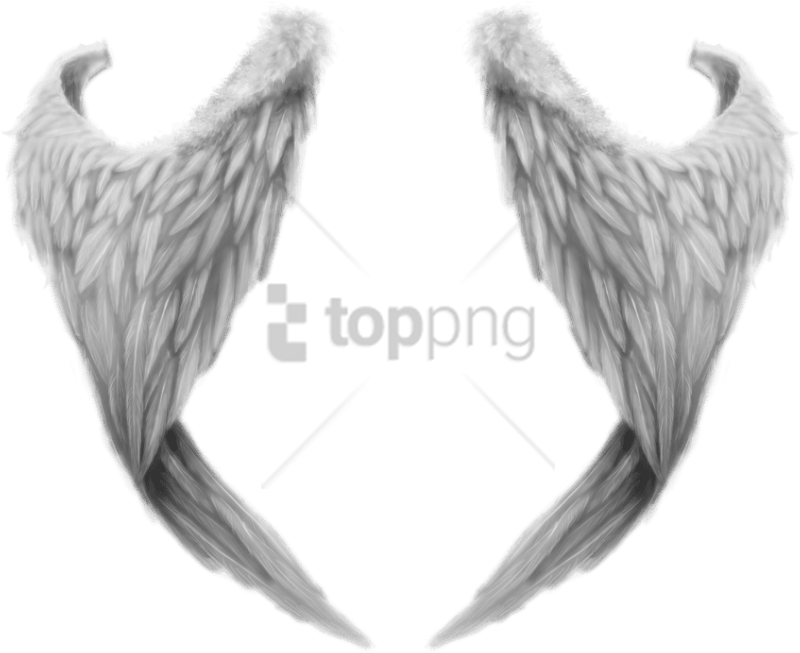 Free Png Download Fantasy Angel Wings Png Images Background - Realistic Angel Wings Png (850x719), Png Download