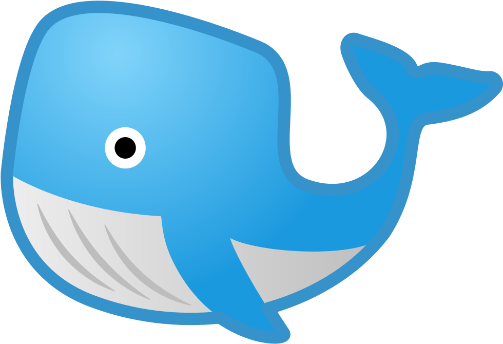 Whale Icon (1024x1024), Png Download