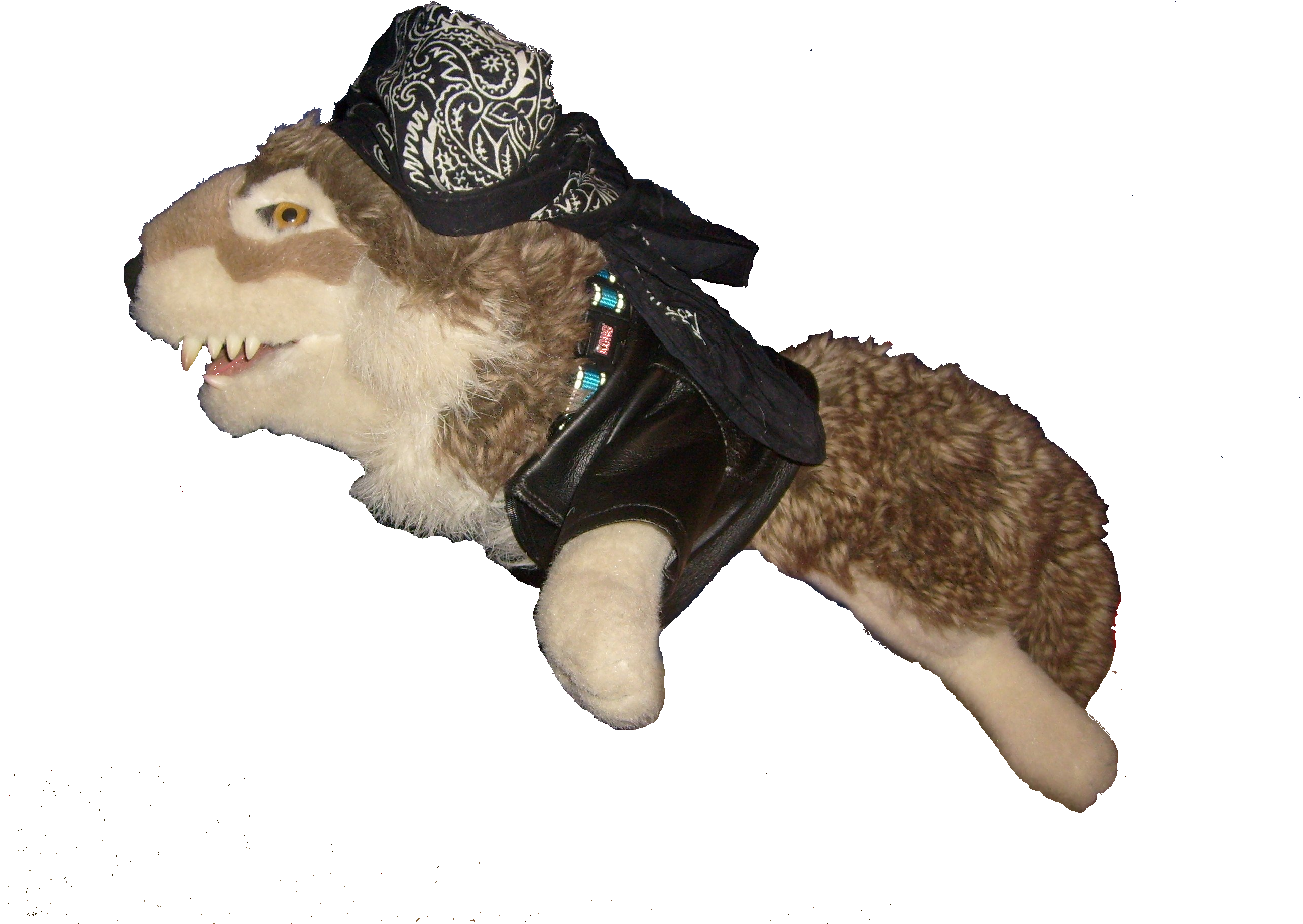 Jpg 14 Oct 2016 - Hamster (2816x2112), Png Download