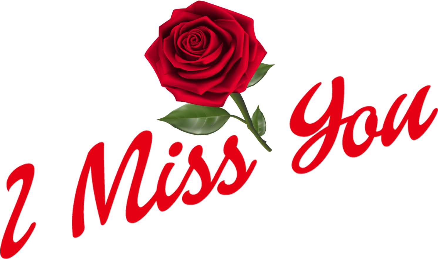 I Miss You Png Hd Images - Floribunda (1920x1200), Png Download