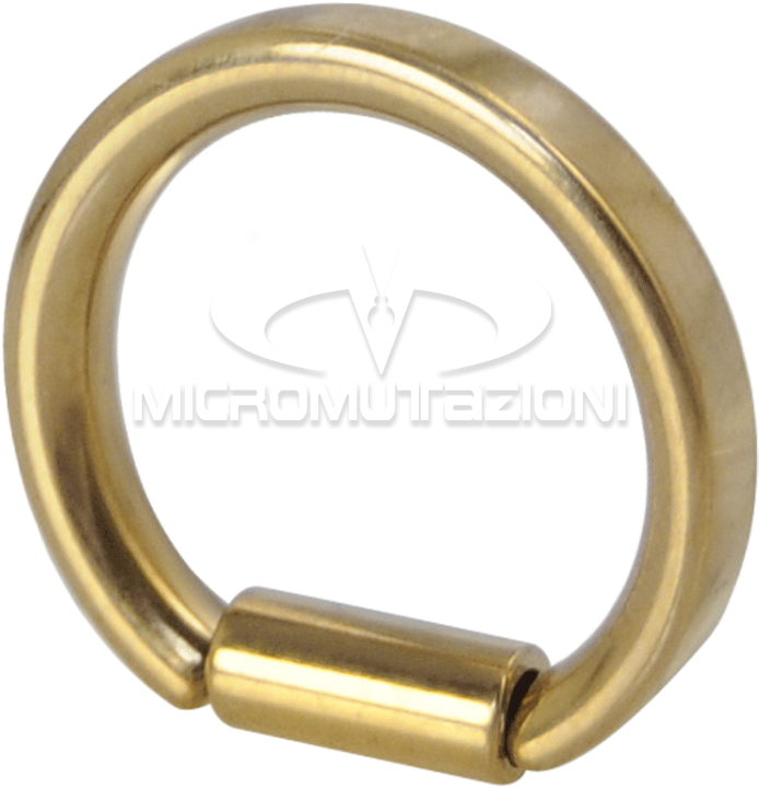 Gold Pvd D Section Ring Nose And Septum - Circle (750x750), Png Download