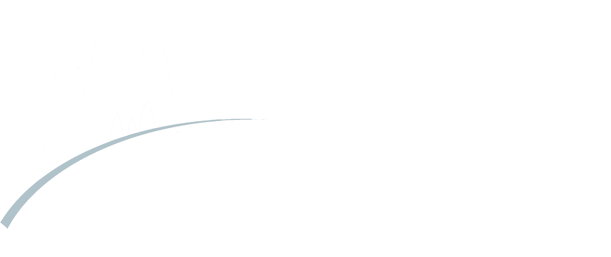 Connecting The Forest And Financial Returns - Illustration (2409x1056), Png Download