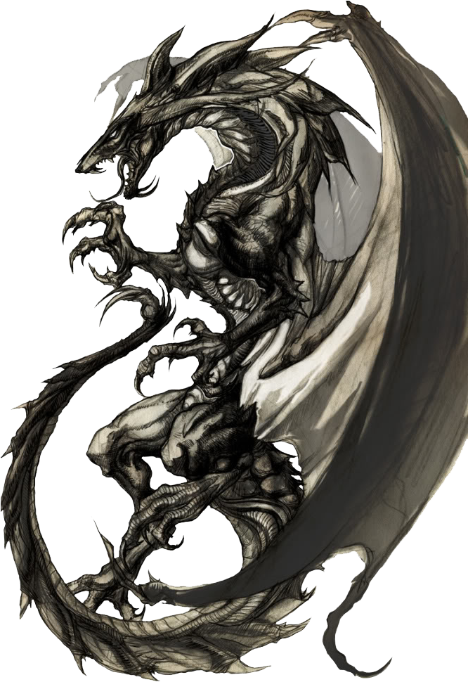 Dragoes Png - Black And White Anime Dragon (665x1024), Png Download