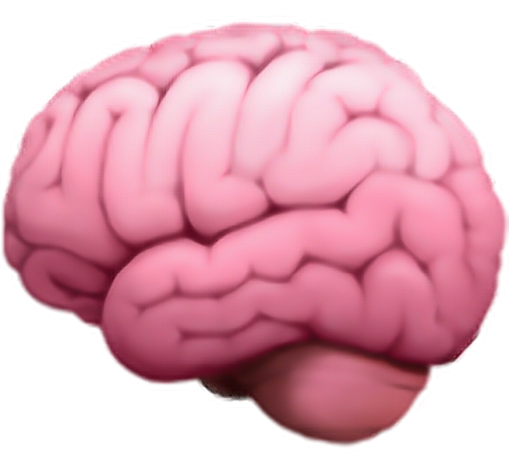 Cerebro Sticker Brain Emoji Png (1024x1024), Png Download