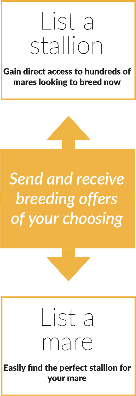 14 Dec 2018 - Poster (492x1383), Png Download