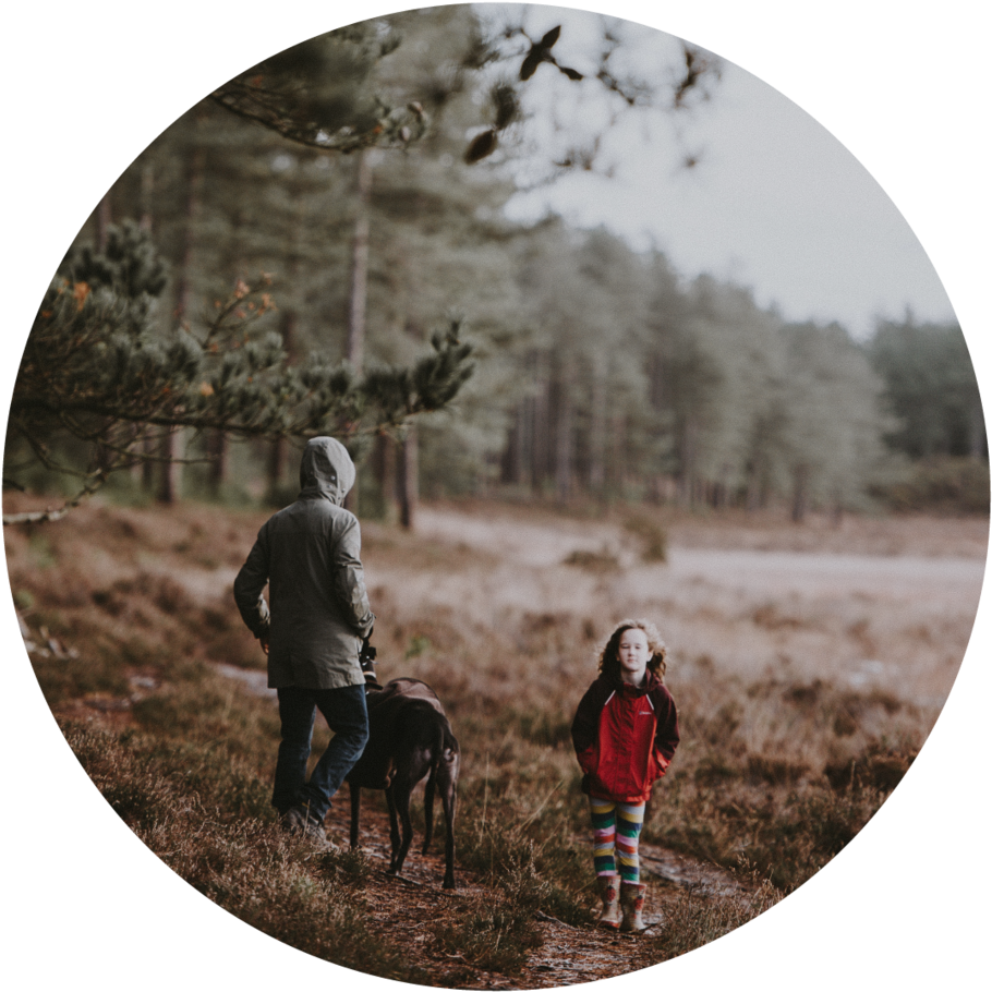 Tree Planting-02 - Companion Dog (1000x1000), Png Download