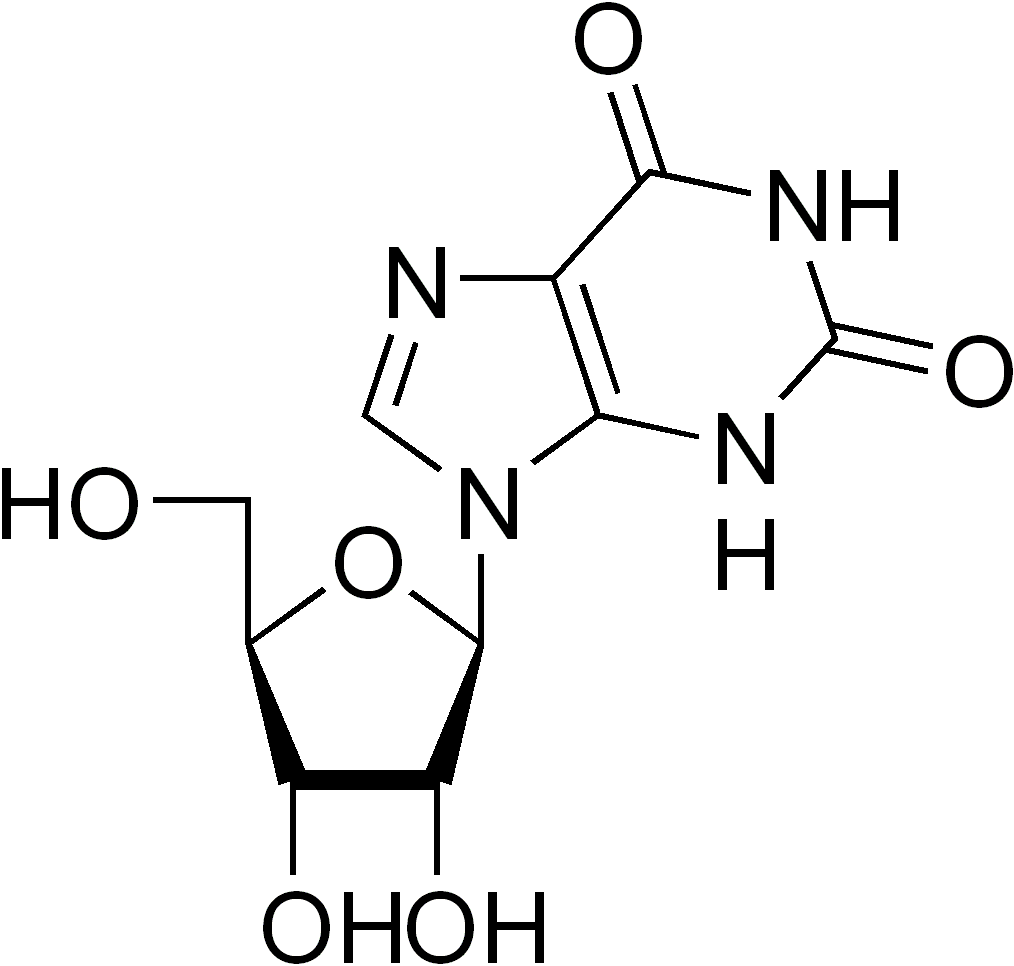 Xanthosine - 2 2 Dimethyl 1 3 Dioxolan (1014x966), Png Download