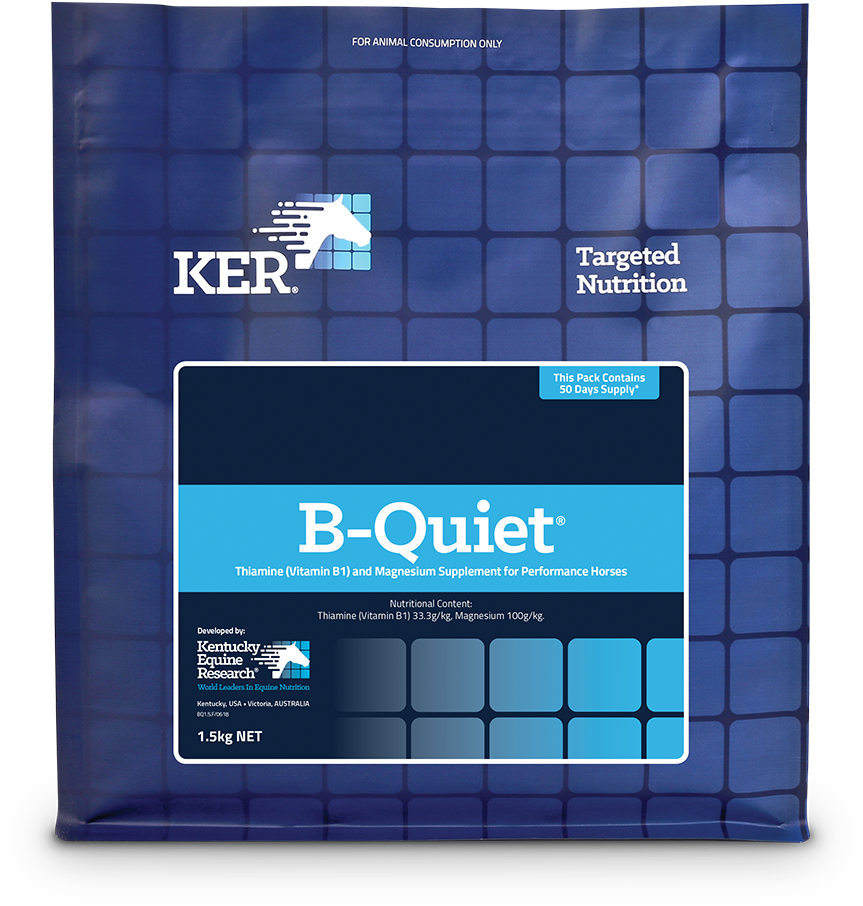 B-quiet - Horse (1024x1024), Png Download