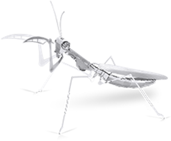 Metal Earth Praying Mantis 3d Laser Cut Bug Metal Models - Metal 3d Models Praying Mantis (600x600), Png Download