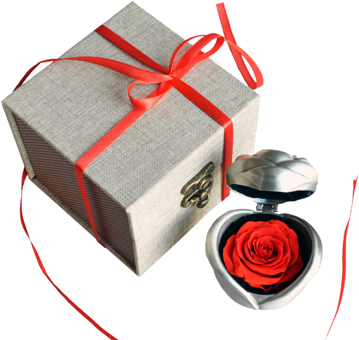Creative Valentine's Day Gifts Alloy Roses Everlasting - Box (750x750), Png Download