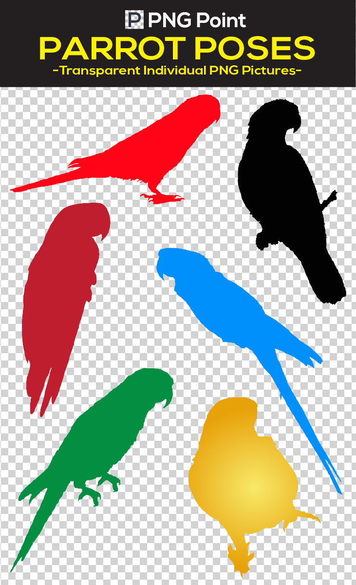 Silhouettes Images, Icons And Clip Arts Of Different - Parakeet (731x1201), Png Download