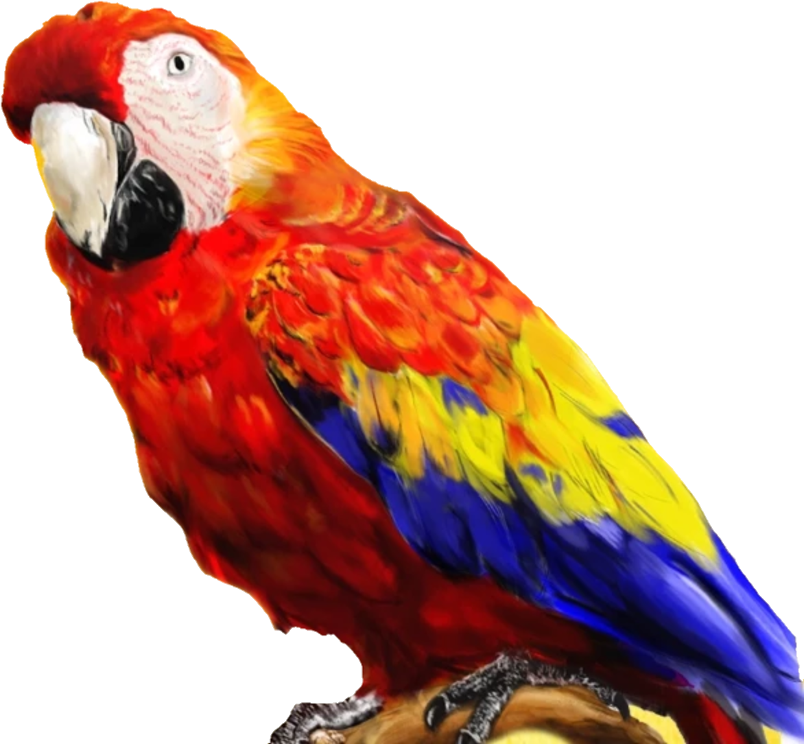 Bowser Parrot (1190x1110), Png Download