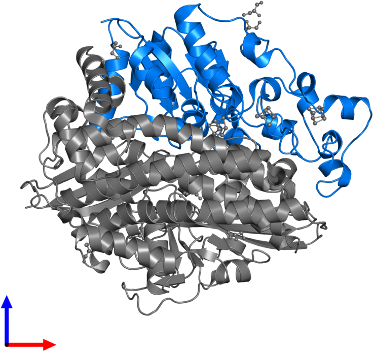 <div Class='caption-body'>pdb Entry 4ud2 Contains 1 - Graphic Design (800x800), Png Download