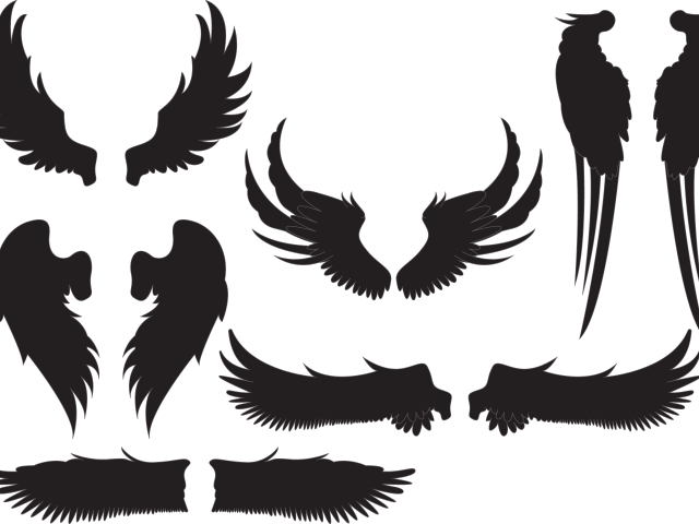 Bullet Clipart Wing - Silueta De Angel Alas (640x480), Png Download
