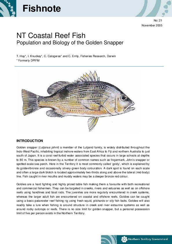 Pdf - Ray-finned Fish (595x842), Png Download