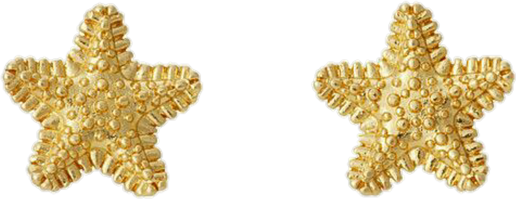 #aesthetic #png #polyvore #starfish #jewelry #jewellery - Earrings (1024x768), Png Download