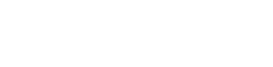 S&s Social Impact Unit Rgb Whitebig - Twitter White Bird Logo (1000x326), Png Download