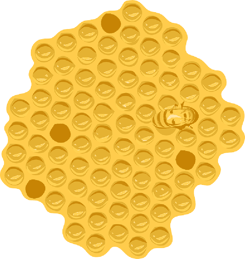 Free Pictures Hive Images Found Honey Drawing - Bee Nest Clip Art (800x846), Png Download