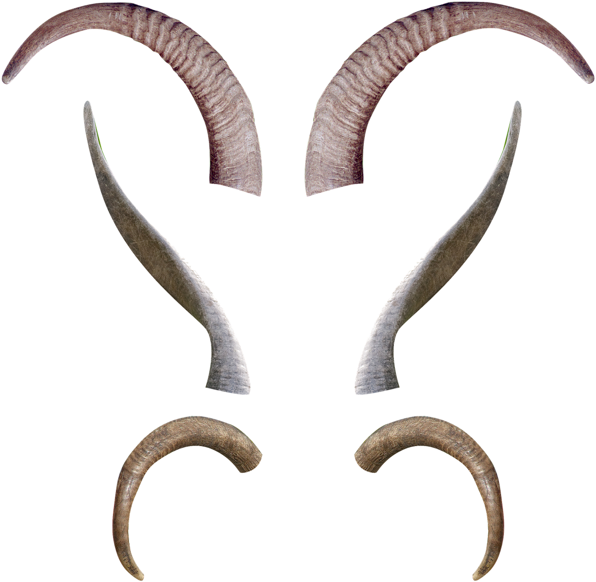 Animal, Horns, Antlers, Fantasy, Creature, Demon, Devil - Chifres De Boi Png (720x720), Png Download