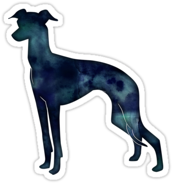 Black Watercolor Silhouette By Tripoddogdesign - Italian Greyhound (375x360), Png Download