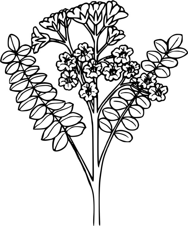 Computer Icons Drawing American Wire Gauge Diagram - Wire (622x750), Png Download