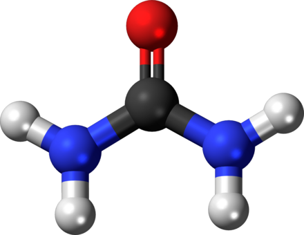 Blood Urea Nitrogen Ball And Stick Model Molecule Organic (440x340), Png Download