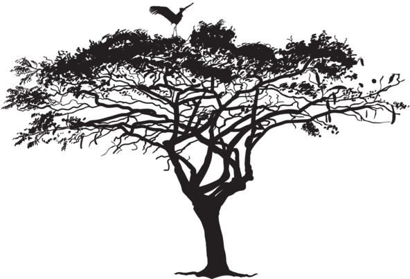 Exotic Tree And Bird Silhouette Png Clip Art Image - Exotic Tree Silhouette Png (600x408), Png Download