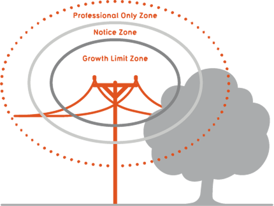Tree Notice Zone Diagram - Tree (548x412), Png Download