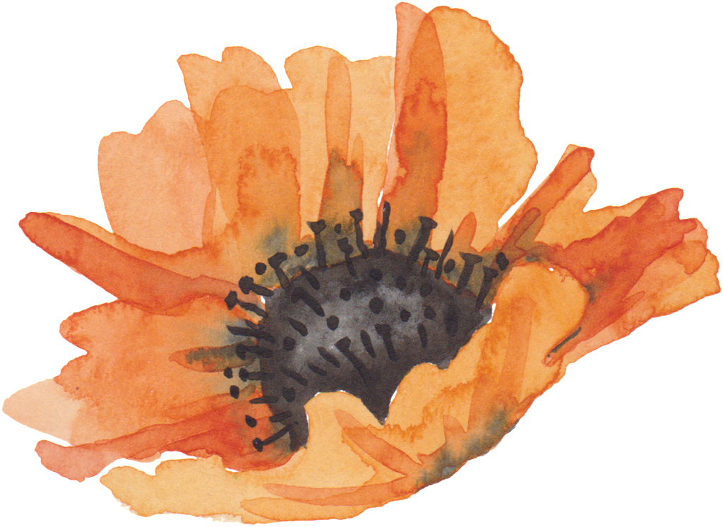 Golden Petals Cartoon Transparent - Orange Watercolor Flowers (1024x746), Png Download