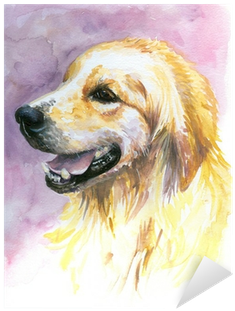 Labrador Golden Retriever Watercolor Painted - Zlatý Retriever Malovaný (400x400), Png Download